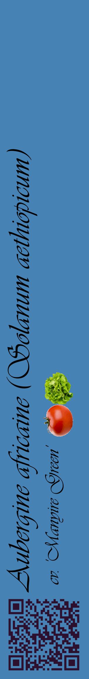 Étiquette de : Solanum aethiopicum cv. 'Manyire Green' - format c - style noire5_basiqueviv avec qrcode et comestibilité simplifiée