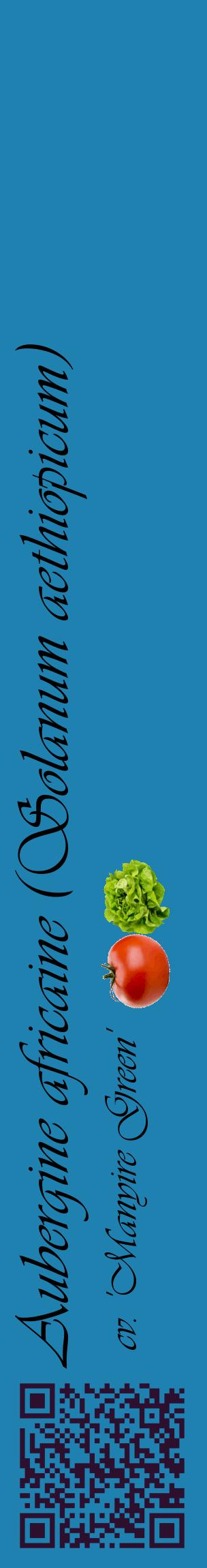 Étiquette de : Solanum aethiopicum cv. 'Manyire Green' - format c - style noire6_basiqueviv avec qrcode et comestibilité simplifiée