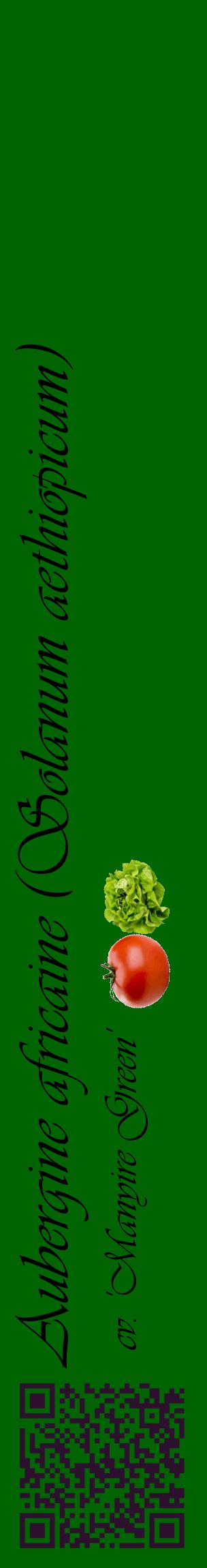 Étiquette de : Solanum aethiopicum cv. 'Manyire Green' - format c - style noire8_basiqueviv avec qrcode et comestibilité simplifiée
