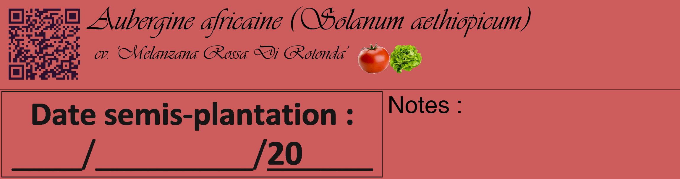 Étiquette de : Solanum aethiopicum cv. 'Melanzana Rossa Di Rotonda' - format c - style noire35_basique_basiqueviv avec qrcode et comestibilité simplifiée