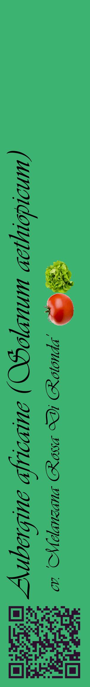 Étiquette de : Solanum aethiopicum cv. 'Melanzana Rossa Di Rotonda' - format c - style noire12_basiqueviv avec qrcode et comestibilité simplifiée
