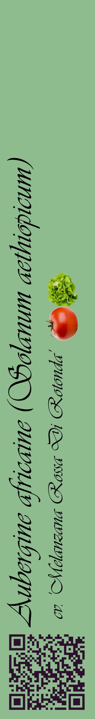 Étiquette de : Solanum aethiopicum cv. 'Melanzana Rossa Di Rotonda' - format c - style noire13_basiqueviv avec qrcode et comestibilité simplifiée