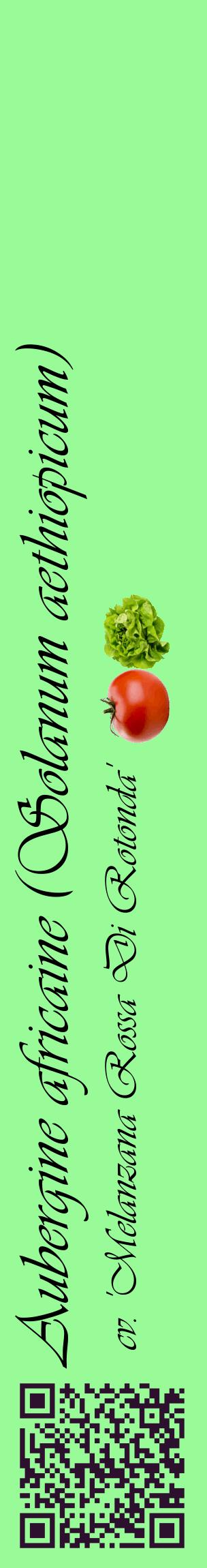 Étiquette de : Solanum aethiopicum cv. 'Melanzana Rossa Di Rotonda' - format c - style noire14_basiqueviv avec qrcode et comestibilité simplifiée