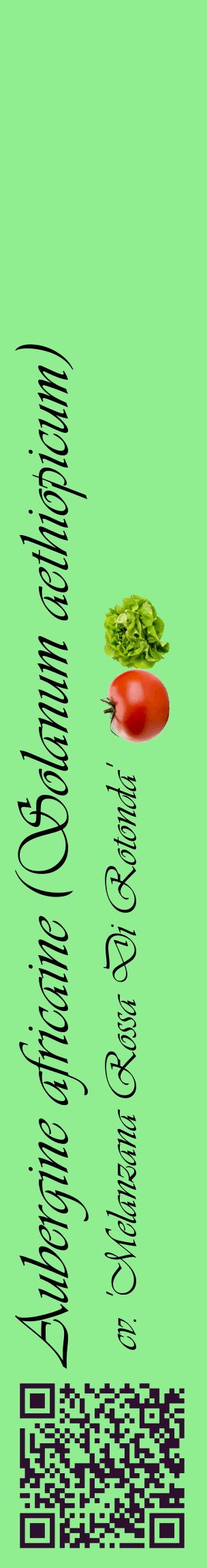 Étiquette de : Solanum aethiopicum cv. 'Melanzana Rossa Di Rotonda' - format c - style noire15_basiqueviv avec qrcode et comestibilité simplifiée