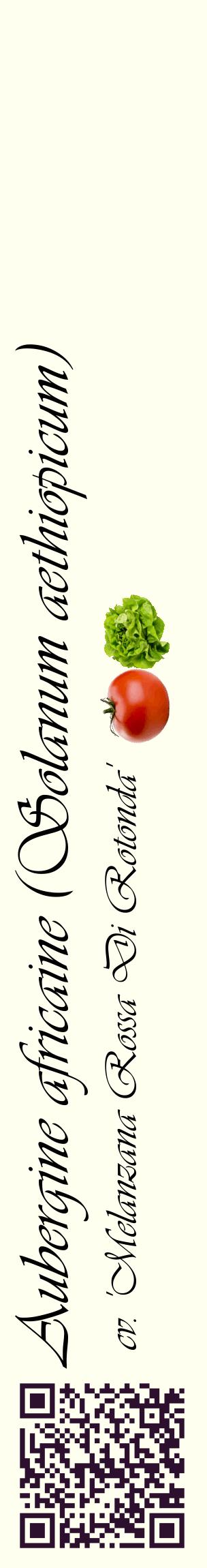 Étiquette de : Solanum aethiopicum cv. 'Melanzana Rossa Di Rotonda' - format c - style noire19_basiqueviv avec qrcode et comestibilité simplifiée