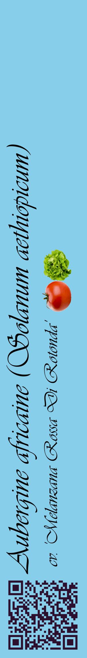 Étiquette de : Solanum aethiopicum cv. 'Melanzana Rossa Di Rotonda' - format c - style noire1_basiqueviv avec qrcode et comestibilité simplifiée