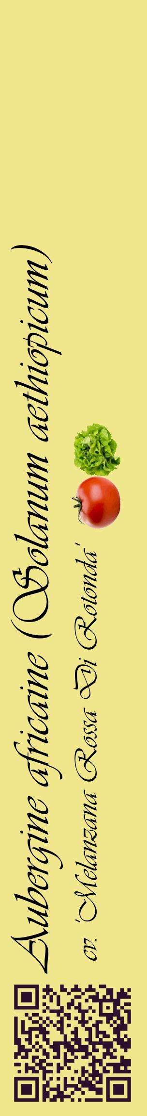 Étiquette de : Solanum aethiopicum cv. 'Melanzana Rossa Di Rotonda' - format c - style noire20_basiqueviv avec qrcode et comestibilité simplifiée