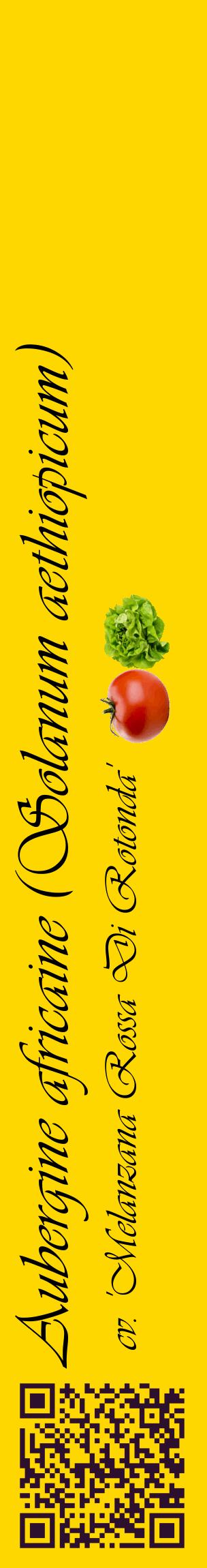 Étiquette de : Solanum aethiopicum cv. 'Melanzana Rossa Di Rotonda' - format c - style noire21_basiqueviv avec qrcode et comestibilité simplifiée