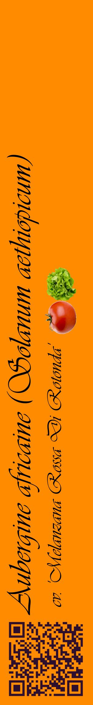 Étiquette de : Solanum aethiopicum cv. 'Melanzana Rossa Di Rotonda' - format c - style noire23_basiqueviv avec qrcode et comestibilité simplifiée