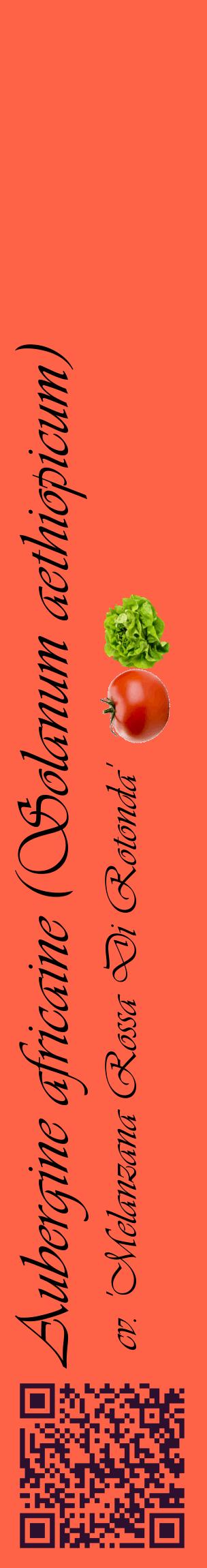 Étiquette de : Solanum aethiopicum cv. 'Melanzana Rossa Di Rotonda' - format c - style noire25_basiqueviv avec qrcode et comestibilité simplifiée