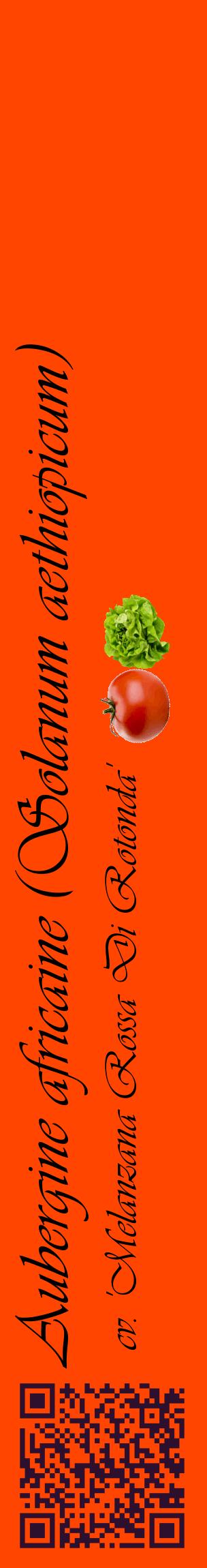 Étiquette de : Solanum aethiopicum cv. 'Melanzana Rossa Di Rotonda' - format c - style noire26_basiqueviv avec qrcode et comestibilité simplifiée
