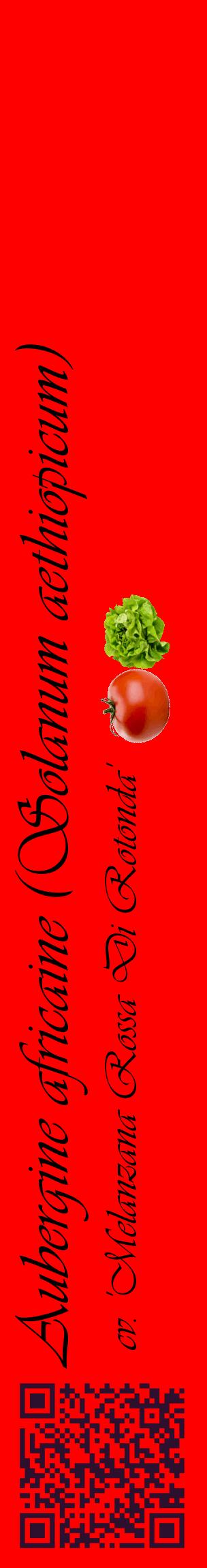 Étiquette de : Solanum aethiopicum cv. 'Melanzana Rossa Di Rotonda' - format c - style noire27_basiqueviv avec qrcode et comestibilité simplifiée