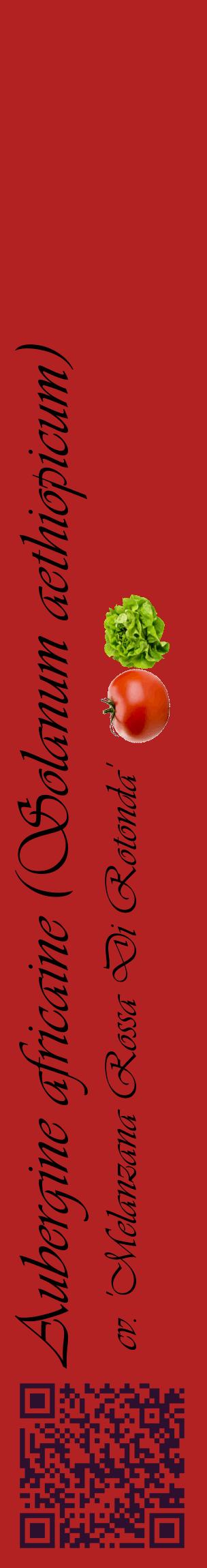 Étiquette de : Solanum aethiopicum cv. 'Melanzana Rossa Di Rotonda' - format c - style noire28_basiqueviv avec qrcode et comestibilité simplifiée