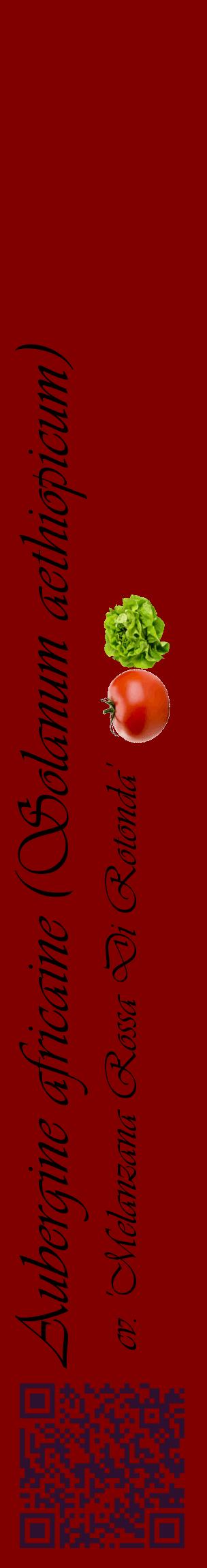 Étiquette de : Solanum aethiopicum cv. 'Melanzana Rossa Di Rotonda' - format c - style noire29_basiqueviv avec qrcode et comestibilité simplifiée