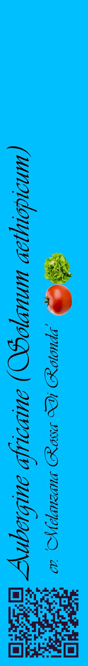 Étiquette de : Solanum aethiopicum cv. 'Melanzana Rossa Di Rotonda' - format c - style noire2_basiqueviv avec qrcode et comestibilité simplifiée