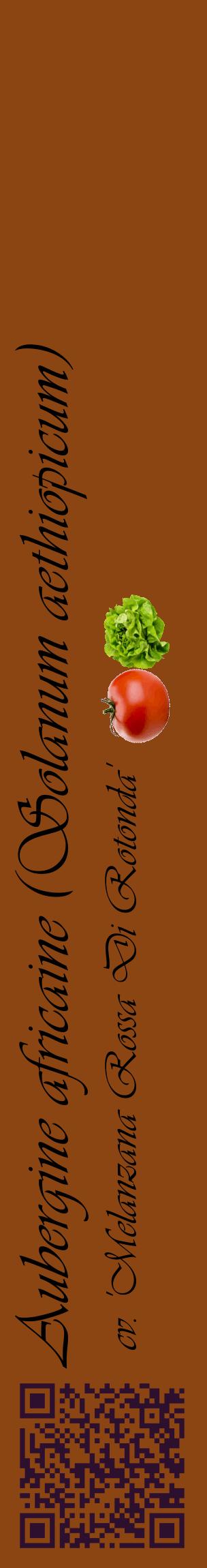 Étiquette de : Solanum aethiopicum cv. 'Melanzana Rossa Di Rotonda' - format c - style noire30_basiqueviv avec qrcode et comestibilité simplifiée
