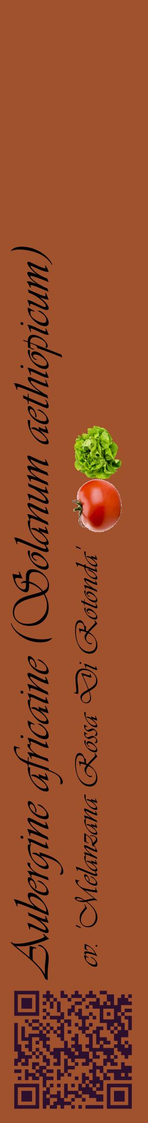 Étiquette de : Solanum aethiopicum cv. 'Melanzana Rossa Di Rotonda' - format c - style noire32_basiqueviv avec qrcode et comestibilité simplifiée