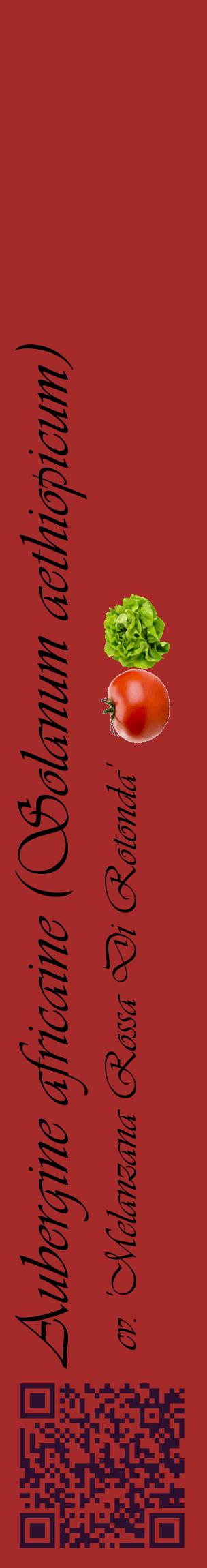 Étiquette de : Solanum aethiopicum cv. 'Melanzana Rossa Di Rotonda' - format c - style noire33_basiqueviv avec qrcode et comestibilité simplifiée