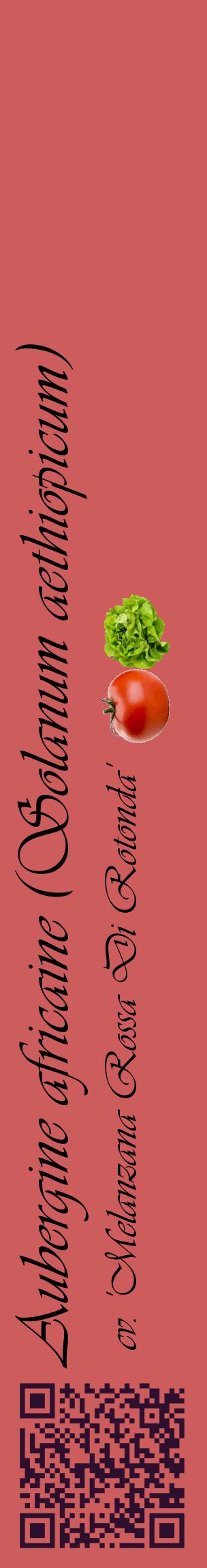 Étiquette de : Solanum aethiopicum cv. 'Melanzana Rossa Di Rotonda' - format c - style noire35_basiqueviv avec qrcode et comestibilité simplifiée