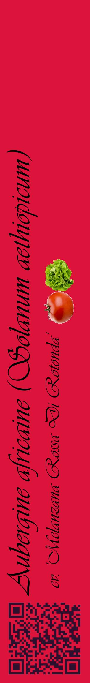 Étiquette de : Solanum aethiopicum cv. 'Melanzana Rossa Di Rotonda' - format c - style noire36_basiqueviv avec qrcode et comestibilité simplifiée