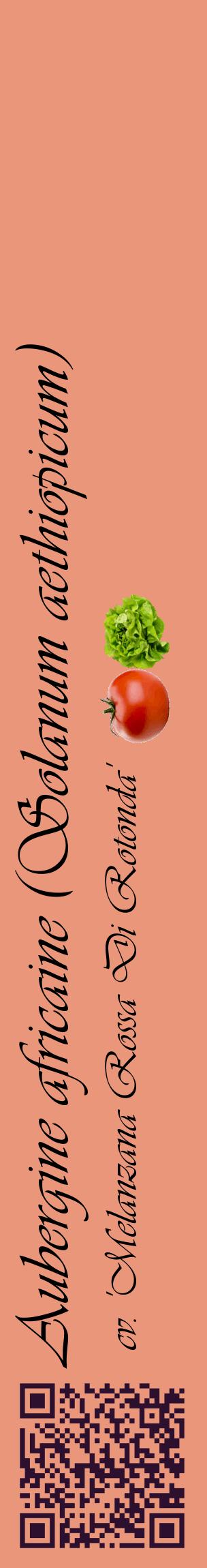 Étiquette de : Solanum aethiopicum cv. 'Melanzana Rossa Di Rotonda' - format c - style noire37_basiqueviv avec qrcode et comestibilité simplifiée