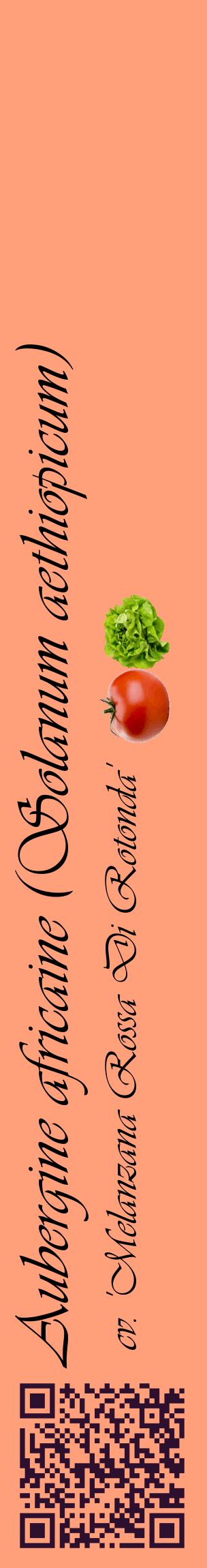 Étiquette de : Solanum aethiopicum cv. 'Melanzana Rossa Di Rotonda' - format c - style noire39_basiqueviv avec qrcode et comestibilité simplifiée