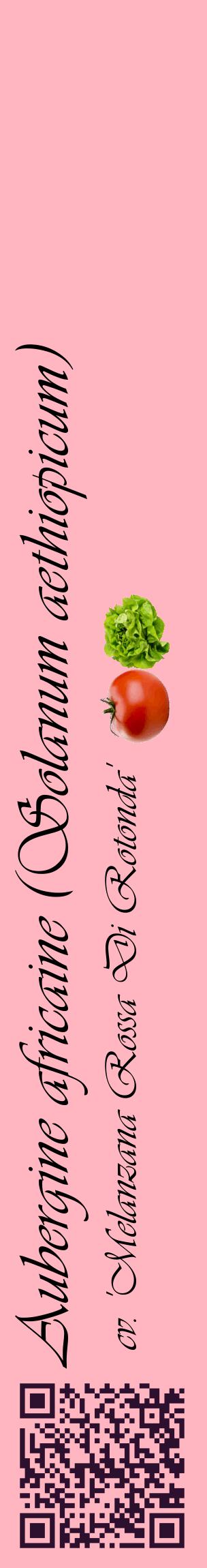 Étiquette de : Solanum aethiopicum cv. 'Melanzana Rossa Di Rotonda' - format c - style noire41_basiqueviv avec qrcode et comestibilité simplifiée
