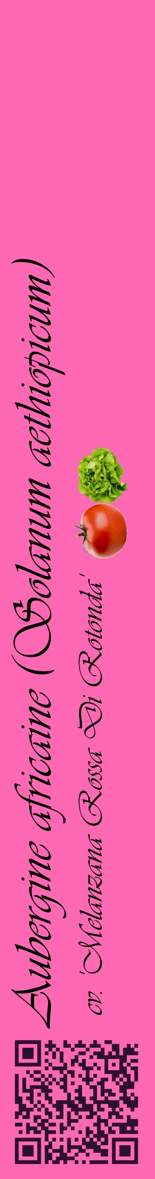 Étiquette de : Solanum aethiopicum cv. 'Melanzana Rossa Di Rotonda' - format c - style noire42_basiqueviv avec qrcode et comestibilité simplifiée