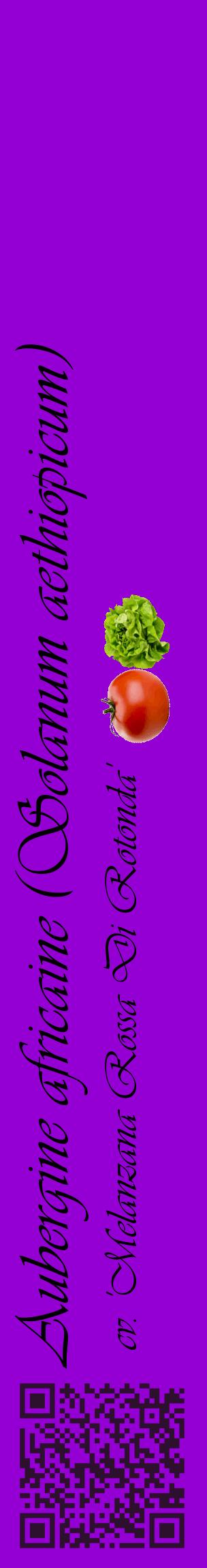 Étiquette de : Solanum aethiopicum cv. 'Melanzana Rossa Di Rotonda' - format c - style noire48_basiqueviv avec qrcode et comestibilité simplifiée