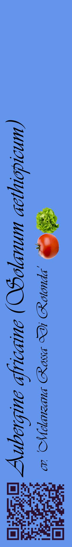 Étiquette de : Solanum aethiopicum cv. 'Melanzana Rossa Di Rotonda' - format c - style noire4_basiqueviv avec qrcode et comestibilité simplifiée