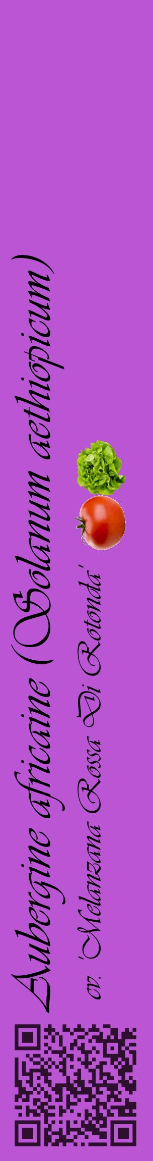 Étiquette de : Solanum aethiopicum cv. 'Melanzana Rossa Di Rotonda' - format c - style noire50_basiqueviv avec qrcode et comestibilité simplifiée