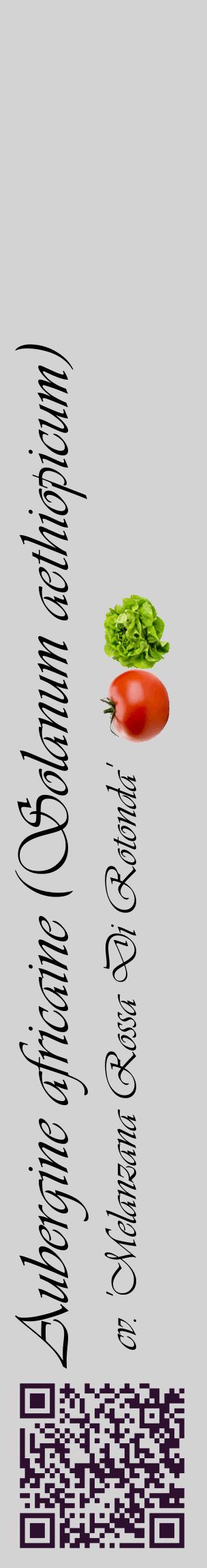 Étiquette de : Solanum aethiopicum cv. 'Melanzana Rossa Di Rotonda' - format c - style noire56_basiqueviv avec qrcode et comestibilité simplifiée