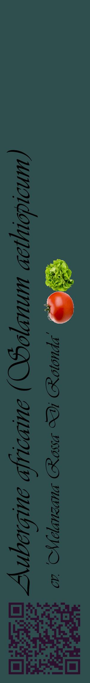 Étiquette de : Solanum aethiopicum cv. 'Melanzana Rossa Di Rotonda' - format c - style noire58_basiqueviv avec qrcode et comestibilité simplifiée