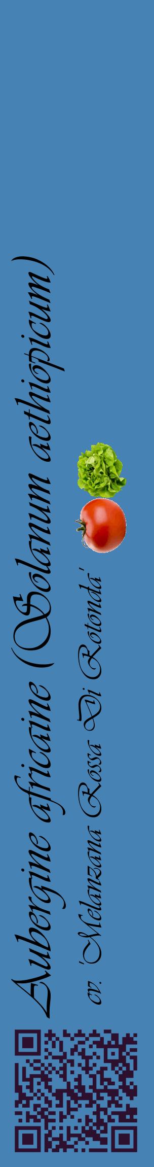 Étiquette de : Solanum aethiopicum cv. 'Melanzana Rossa Di Rotonda' - format c - style noire5_basiqueviv avec qrcode et comestibilité simplifiée
