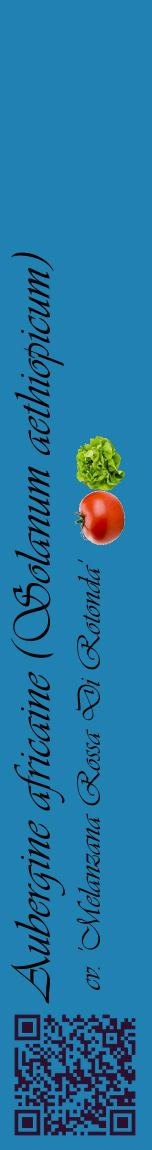 Étiquette de : Solanum aethiopicum cv. 'Melanzana Rossa Di Rotonda' - format c - style noire6_basiqueviv avec qrcode et comestibilité simplifiée