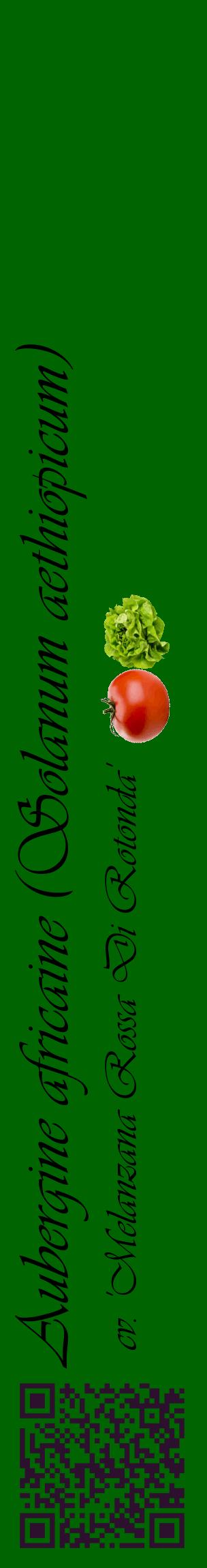 Étiquette de : Solanum aethiopicum cv. 'Melanzana Rossa Di Rotonda' - format c - style noire8_basiqueviv avec qrcode et comestibilité simplifiée