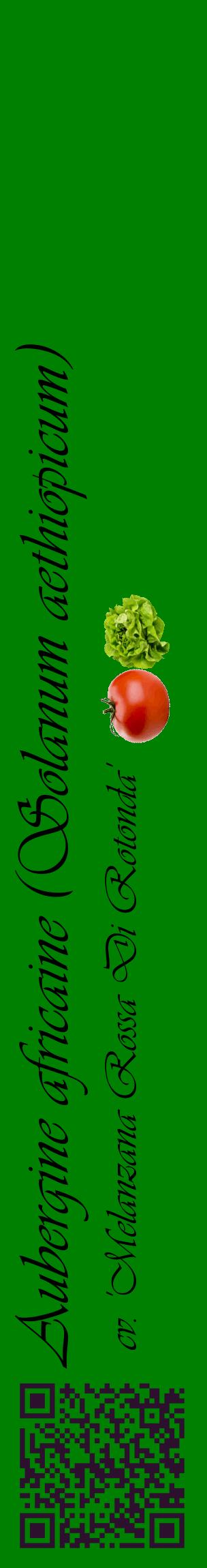 Étiquette de : Solanum aethiopicum cv. 'Melanzana Rossa Di Rotonda' - format c - style noire9_basiqueviv avec qrcode et comestibilité simplifiée