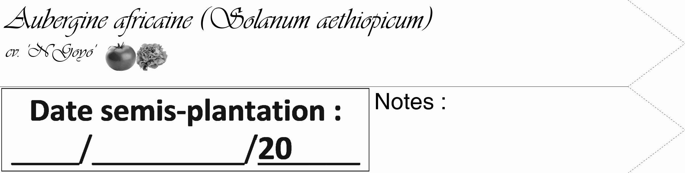Étiquette de : Solanum aethiopicum cv. 'N'Goyo' - format c - style noire19_simple_simpleviv avec comestibilité simplifiée