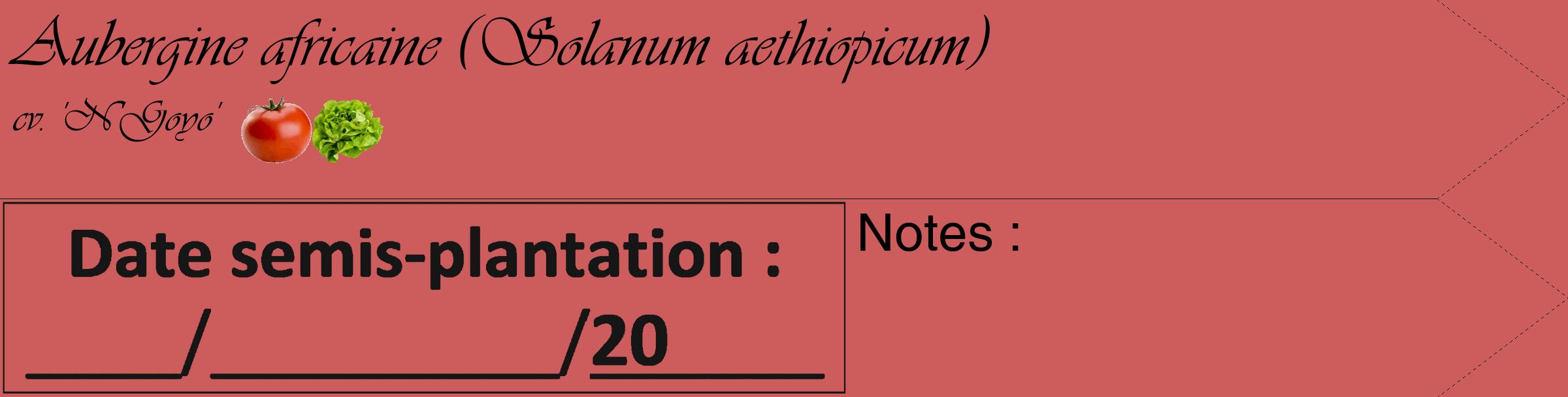Étiquette de : Solanum aethiopicum cv. 'N'Goyo' - format c - style noire35_simple_simpleviv avec comestibilité simplifiée