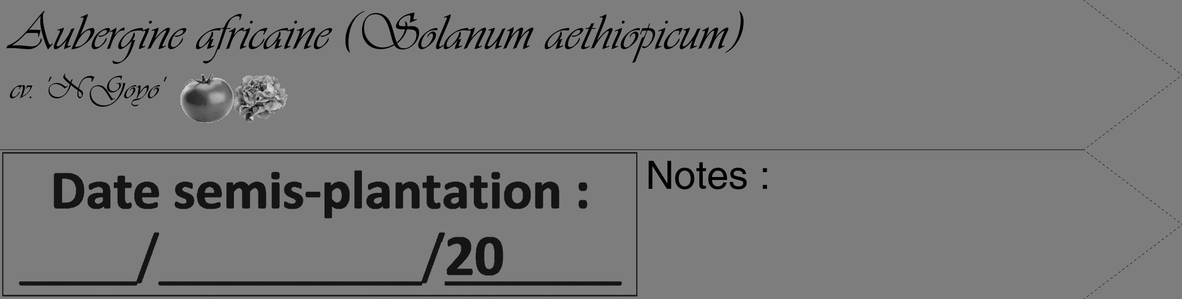 Étiquette de : Solanum aethiopicum cv. 'N'Goyo' - format c - style noire35_simple_simpleviv avec comestibilité simplifiée