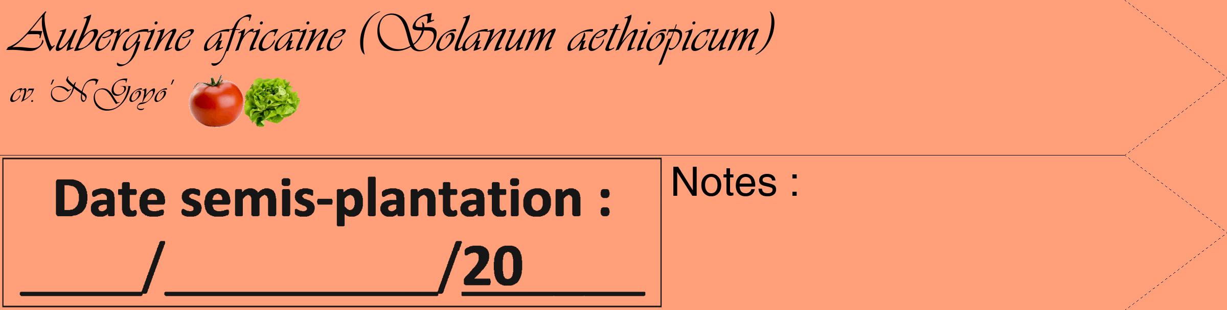 Étiquette de : Solanum aethiopicum cv. 'N'Goyo' - format c - style noire39_simple_simpleviv avec comestibilité simplifiée