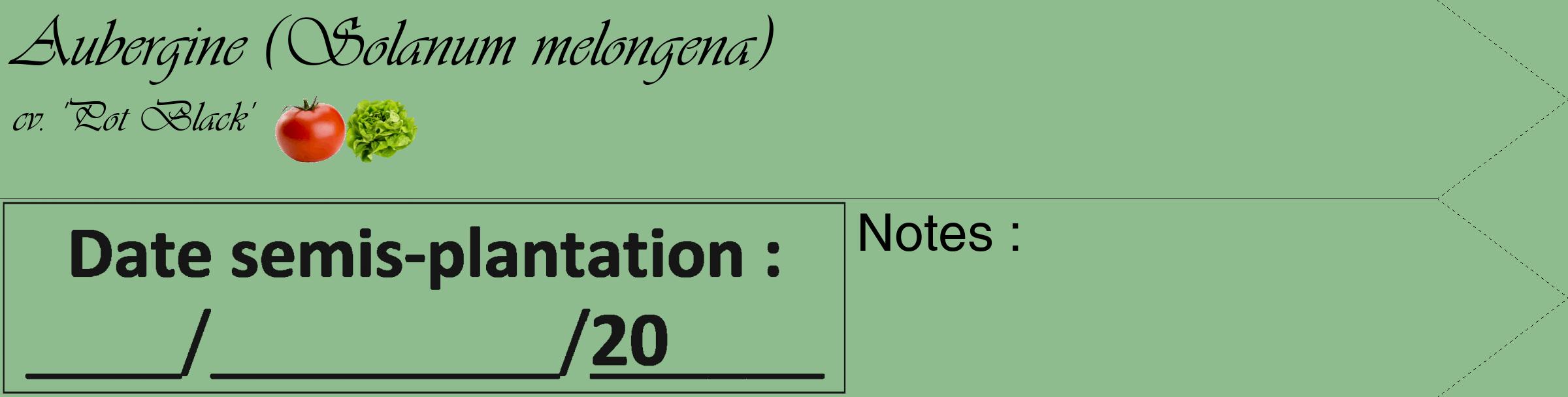 Étiquette de : Solanum melongena cv. 'Pot Black' - format c - style noire13_simple_simpleviv avec comestibilité simplifiée