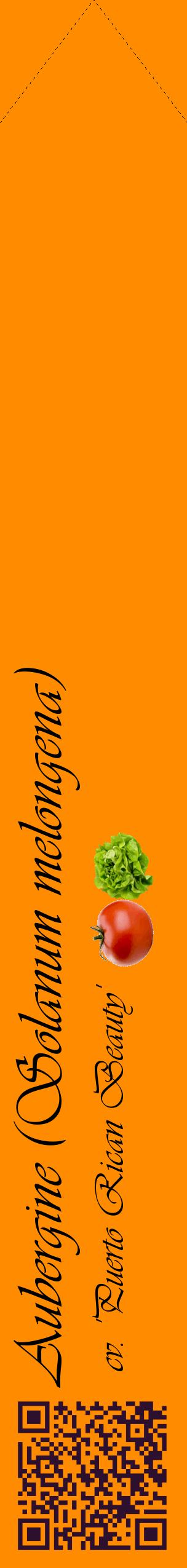 Étiquette de : Solanum melongena cv. 'Puerto Rican Beauty' - format c - style noire23_simpleviv avec qrcode et comestibilité simplifiée