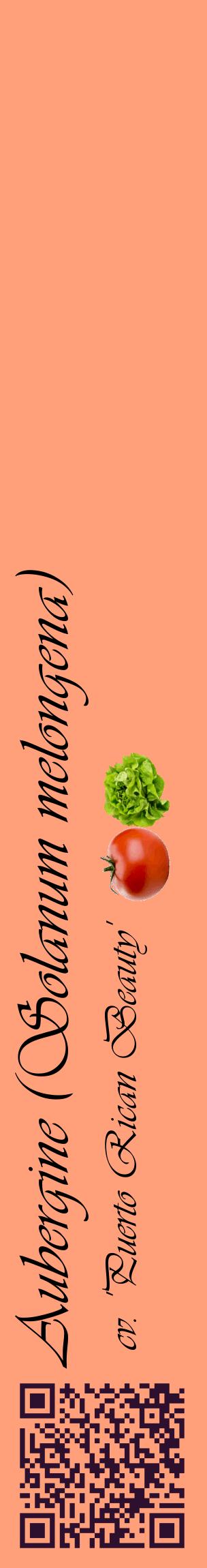 Étiquette de : Solanum melongena cv. 'Puerto Rican Beauty' - format c - style noire39_basiqueviv avec qrcode et comestibilité simplifiée