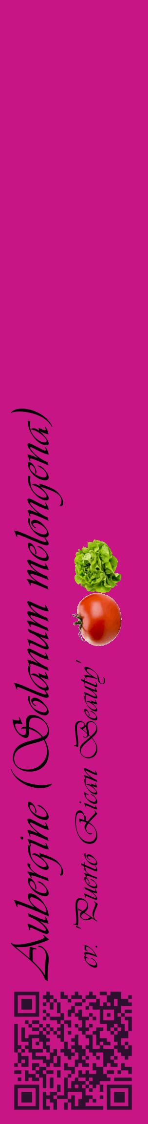 Étiquette de : Solanum melongena cv. 'Puerto Rican Beauty' - format c - style noire45_basiqueviv avec qrcode et comestibilité simplifiée