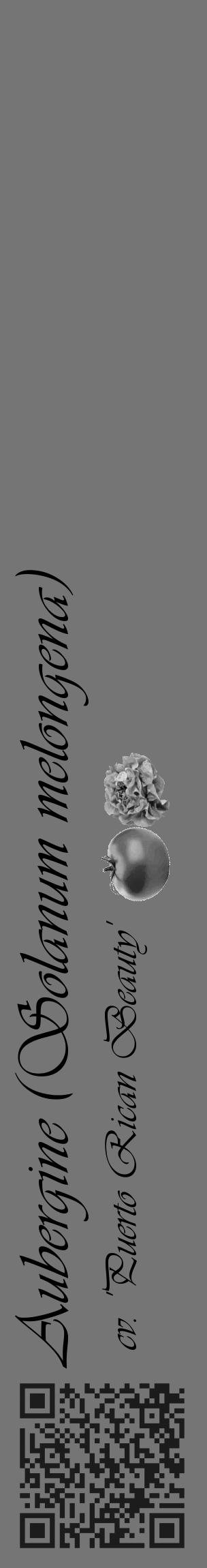 Étiquette de : Solanum melongena cv. 'Puerto Rican Beauty' - format c - style noire5_basique_basiqueviv avec qrcode et comestibilité simplifiée - position verticale