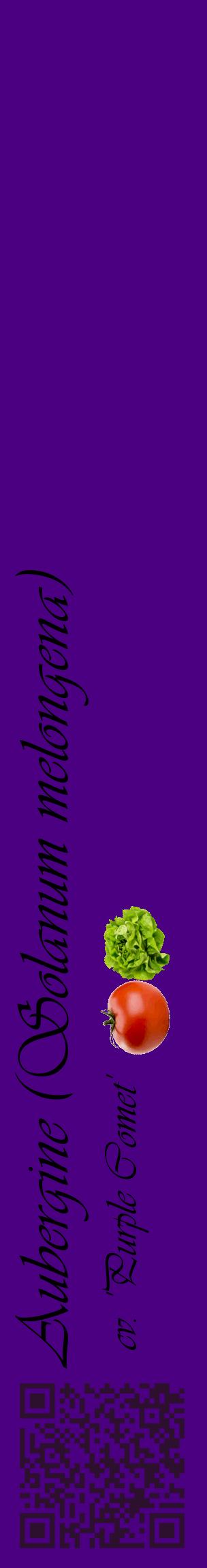 Étiquette de : Solanum melongena cv. 'Purple Comet' - format c - style noire47_basiqueviv avec qrcode et comestibilité simplifiée