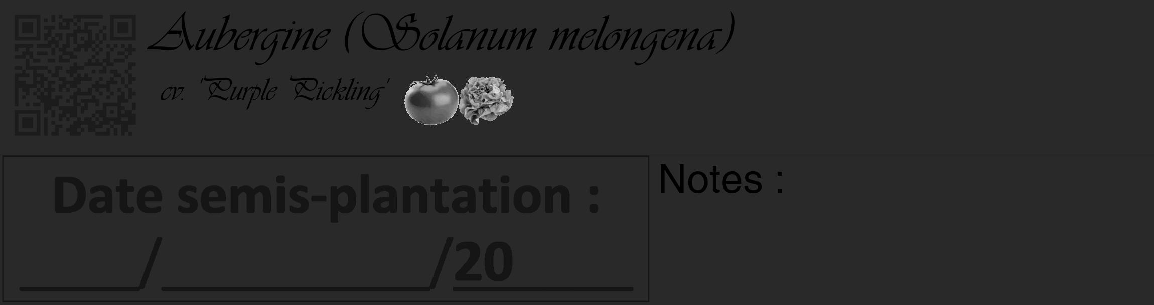 Étiquette de : Solanum melongena cv. 'Purple Pickling' - format c - style noire34_basique_basiqueviv avec qrcode et comestibilité simplifiée