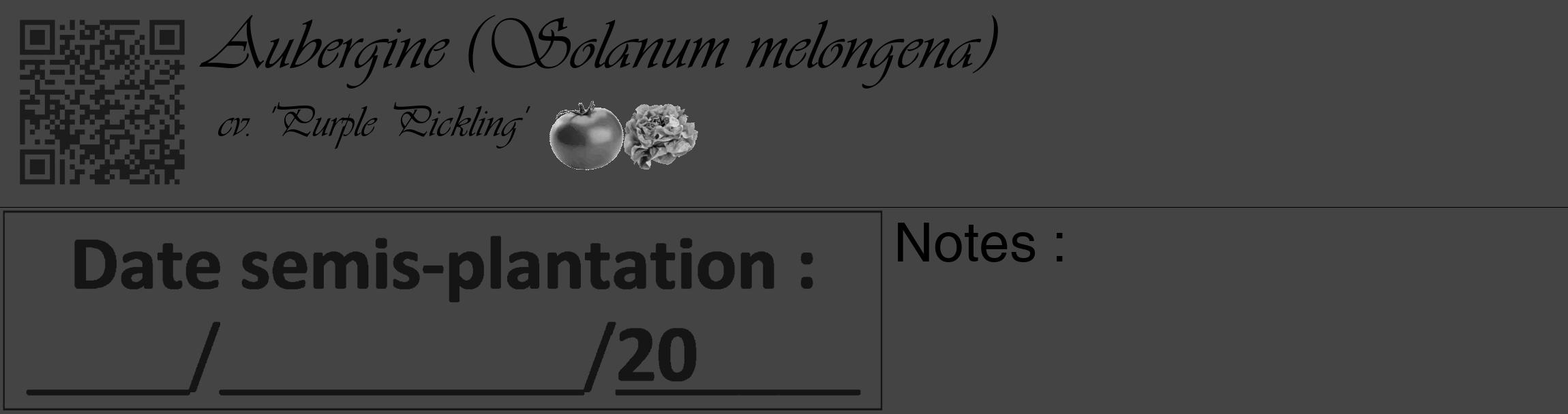 Étiquette de : Solanum melongena cv. 'Purple Pickling' - format c - style noire48_basique_basiqueviv avec qrcode et comestibilité simplifiée