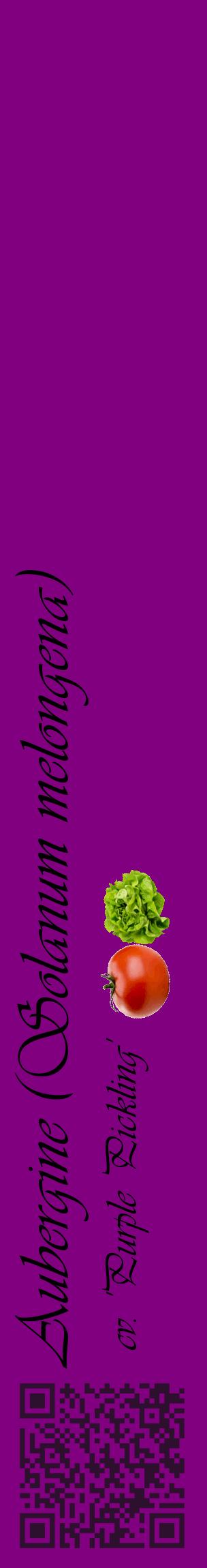 Étiquette de : Solanum melongena cv. 'Purple Pickling' - format c - style noire46_basiqueviv avec qrcode et comestibilité simplifiée